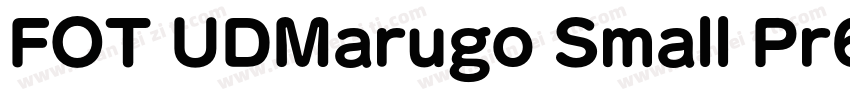 FOT UDMarugo Small Pr6N字体转换